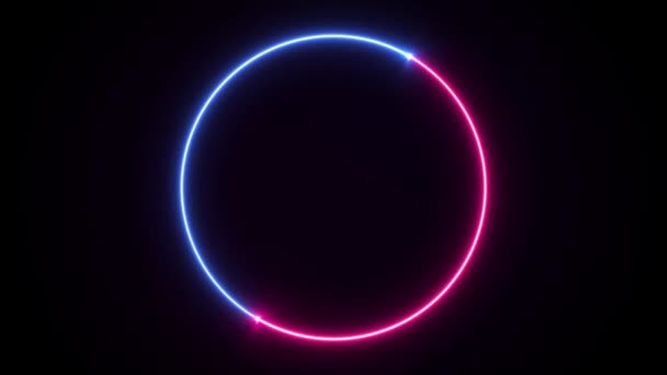 Animation Blå Rosa Neon Cirkel Ram Ring Form Tomt Utrymme — Stockvideo