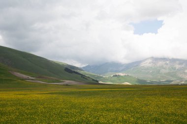 Castelluccio di Norcia, İtalya 'da.