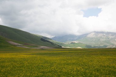 Castelluccio di Norcia, İtalya 'da.