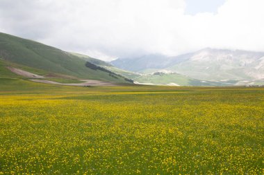 Castelluccio di Norcia, İtalya 'da.