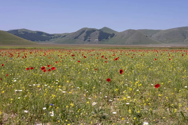 stock image Castelluccio di Norcia, in Italy