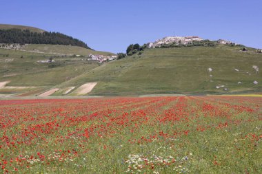 Castelluccio di Norcia, İtalya 'da.