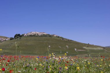 Castelluccio di Norcia, İtalya 'da.