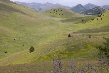 İtalya, Abruzzo 'daki Campo Imperatore.