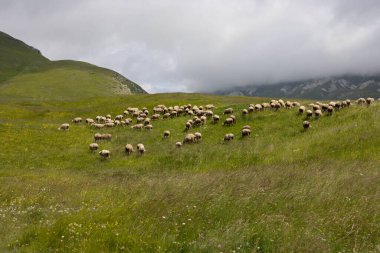 İtalya, Abruzzo 'daki Campo Imperatore.
