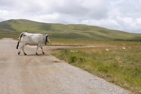 İtalya, Abruzzo 'daki Campo Imperatore.