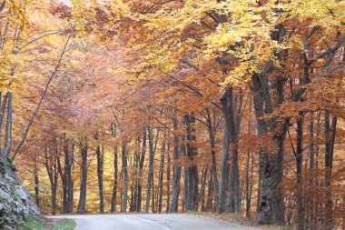 İtalya Abruzzo 'daki Campo Imperatore.