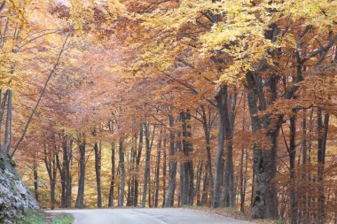 İtalya Abruzzo 'daki Campo Imperatore.