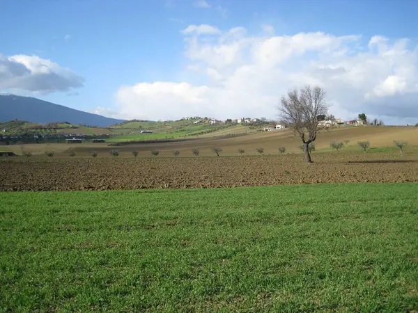 アブルッツォイタリアの拡張された牧草地 — ストック写真