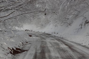 Buzlu ve kenarlarında ağaçlar olan bir yol.