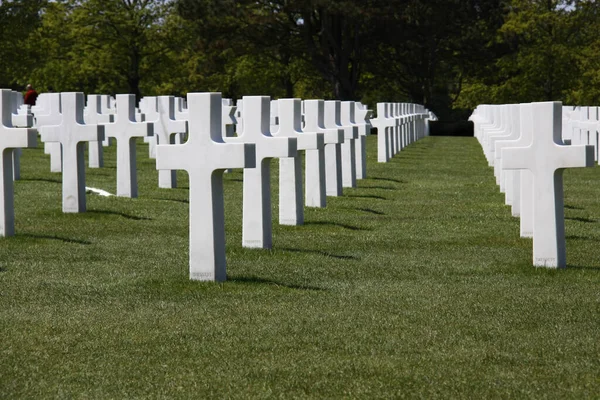 Cemetery Full Crosses Daytime — Stock Photo, Image