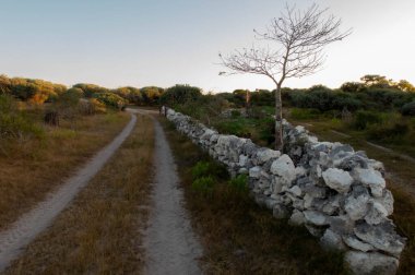 Madagaskar 'da kırsal yol gün boyunca