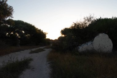 Madagaskar 'da kırsal yol gün boyunca