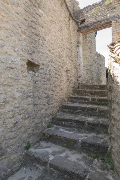 Vieux Escaliers Une Grenouille Abattu Pendant Journée — Photo
