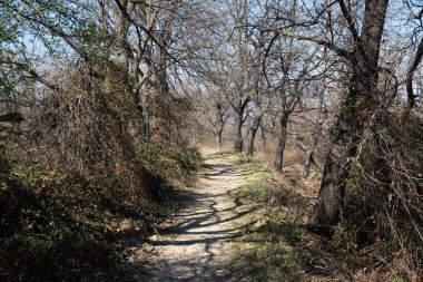 San Bartolomeo inzivasına giden yol