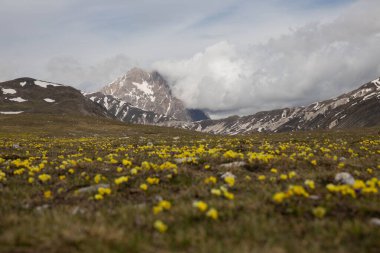 Gün boyunca Abruzzo 'daki Campo Imperatore' da.