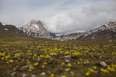 Gün boyunca Abruzzo 'daki Campo Imperatore' da.