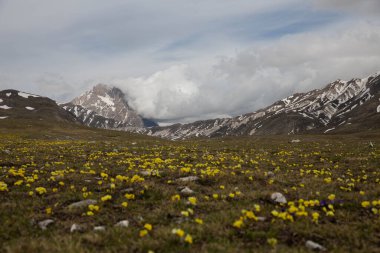 Gün boyunca Abruzzo 'daki Campo Imperatore' da.