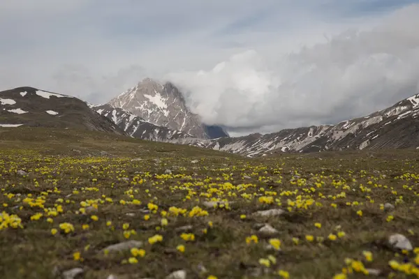 Gün boyunca Abruzzo 'daki Campo Imperatore' da.