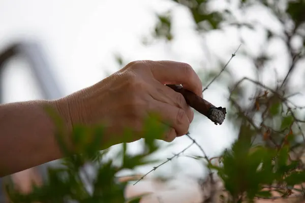 Elinde puro tutan bir adamın elleri