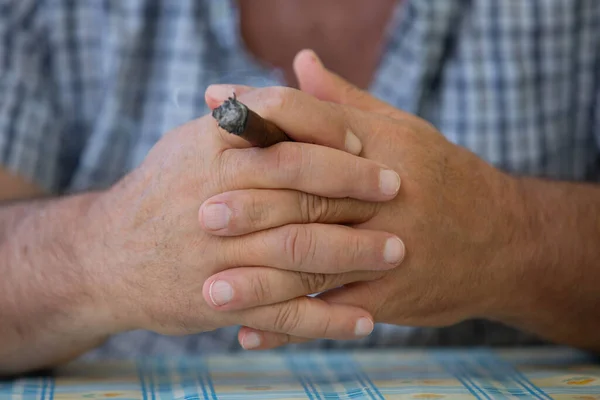 Elinde puro tutan bir adamın elleri