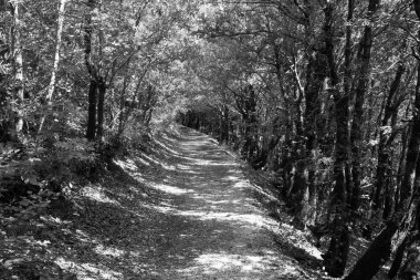 Fiastra gölüne giden yol.