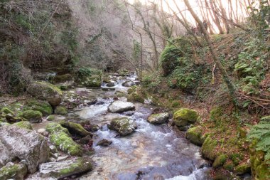 Abruzzo İtalya 'daki Orfento Vadisi