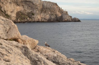 Tremiti adaları gündüz çekiliyor