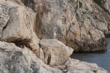 Tremiti adaları gündüz çekiliyor