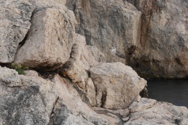 Tremiti adaları gündüz çekiliyor