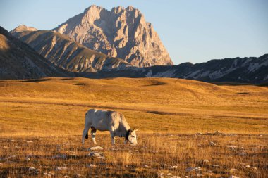 Büyükanne Sasso, Campo Imperatore 'dan gündoğumunda.