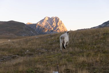 Büyükanne Sasso, Campo Imperatore 'dan gündoğumunda.