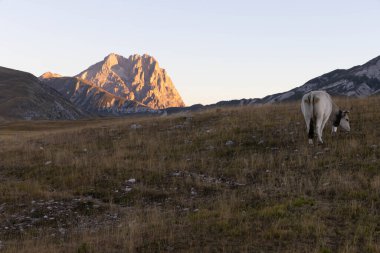 Büyükanne Sasso, Campo Imperatore 'dan gündoğumunda.