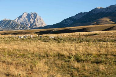 Büyükanne Sasso, Campo Imperatore 'dan gündoğumunda.