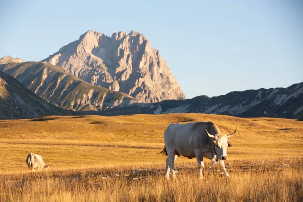 Büyükanne Sasso, Campo Imperatore 'dan gündoğumunda.