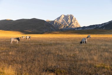 Büyükanne Sasso, Campo Imperatore 'dan gündoğumunda.