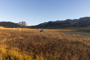 Büyükanne Sasso, Campo Imperatore 'dan gündoğumunda.