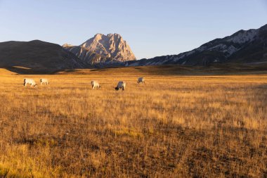 Büyükanne Sasso, Campo Imperatore 'dan gündoğumunda.