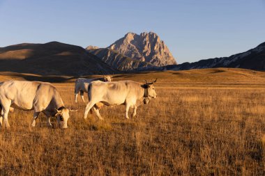 Büyükanne Sasso, Campo Imperatore 'dan gündoğumunda.