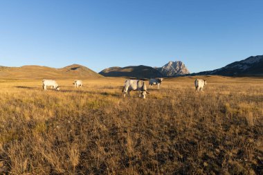 Büyükanne Sasso, Campo Imperatore 'dan gündoğumunda.