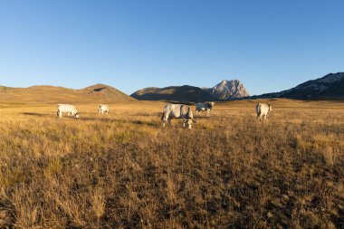 Büyükanne Sasso, Campo Imperatore 'dan gündoğumunda.