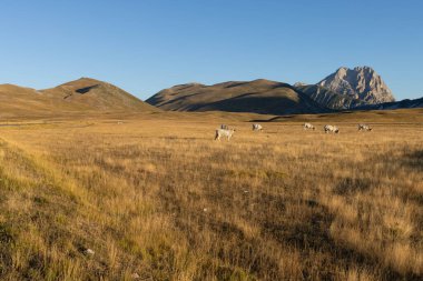 Büyükanne Sasso, Campo Imperatore 'dan gündoğumunda.