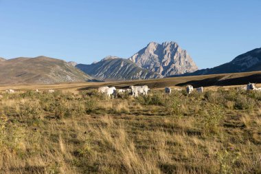 Büyükanne Sasso, Campo Imperatore 'dan gündoğumunda.