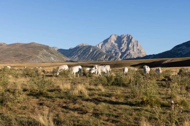 Büyükanne Sasso, Campo Imperatore 'dan gündoğumunda.