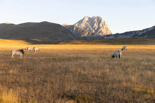 Büyükanne Sasso, Campo Imperatore 'dan gündoğumunda.