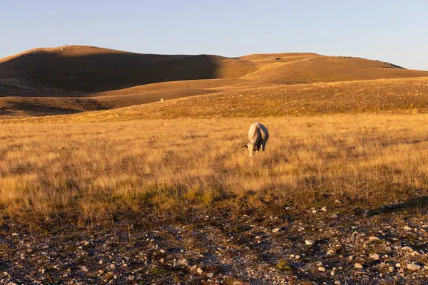 Büyükanne Sasso, Campo Imperatore 'dan gündoğumunda.