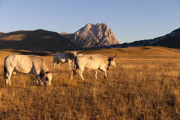 Büyükanne Sasso, Campo Imperatore 'dan gündoğumunda.