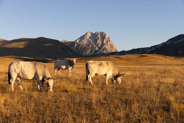 Büyükanne Sasso, Campo Imperatore 'dan gündoğumunda.