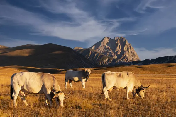 Büyükanne Sasso, Campo Imperatore 'dan gündoğumunda.