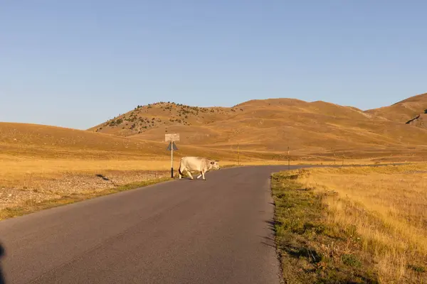 Büyükanne Sasso, Campo Imperatore 'dan gündoğumunda.